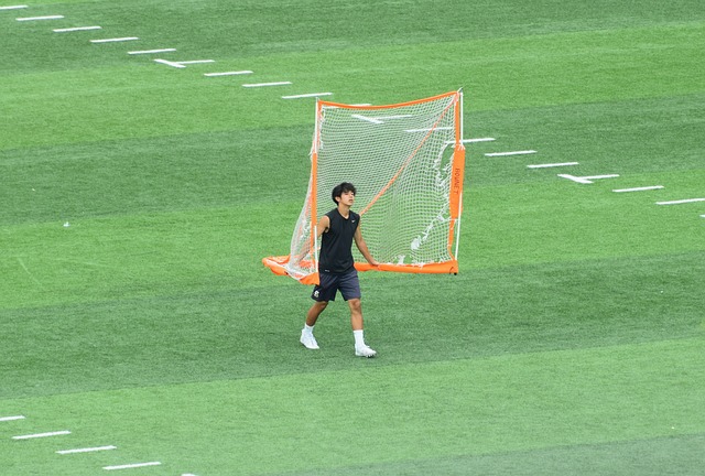 性尼斯方